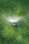 Pressure Regulated Pop-Up Sprinkler with Check Valve