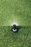 Pressure Regulated Pop-Up Sprinkler with Check Valve