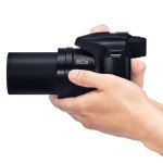 Panasonic LUMIX FZ80D 4K Compact Camera Bundle