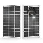 ECO-WORTHY 200W Bifacial Monocrystalline Solar Panels