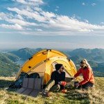 60W Foldable High Efficiency Portable Solar Panel