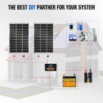 ECO-WORTHY 200W Bifacial Monocrystalline Solar Panels
