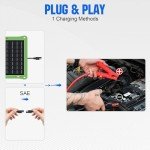 ECO-WORTHY 7.5W Waterproof Solar Car Battery Charger