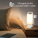 Rechargeable Solar Camping LED Lantern with Adjustable Brightness