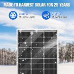 ECO-WORTHY 200W Bifacial Monocrystalline Solar Panels