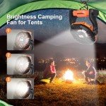 Dkois Portable Solar Camping Fan with Light