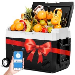 Portable 12V Car Refrigerator with Wheels, 59QT