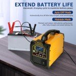 12V 24V Smart Battery Charger with Auto Shutoff