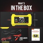 NEXPEAK 15A LiFePO4 Smart Battery Charger