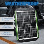 25W Solar Battery Charger & Maintainer with MPPT