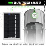 ECO-WORTHY 12V Waterproof Solar Battery Charger