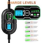 10A 12V MPPT Solar Charge Controller with LCD Display