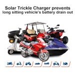 ECO-WORTHY 10W Waterproof Solar Car Battery Charger