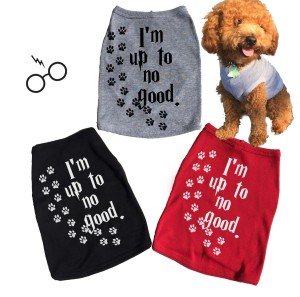 I'm Up To No Good. Dog Tee. Tank Top. Outfit. Apparel. Funny. Pet.
