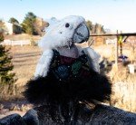 Harry Potter Dress for Large Birds