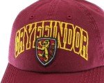 Gryffindor House Crest Snapback Hat