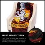 Harry Potter Battle Flag Micro Raschel Throw Blanket