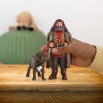 Hagrid & Fang Figurines Set from Harry Potter