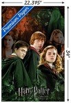 Harry Potter Half-Blood Prince Trio Collage Poster
