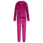 YMADREIG Womens Velvet Two Piece Sets Casual Velour Tracksuit Set Full Zip Hoodies Sweatshirt and Jogger Pants Lounge Outfits, A04-hot Pink, X-Large