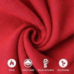 Cozy Red Fall and Winter Women’s Scarf