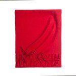 Cozy Red Fall and Winter Women’s Scarf
