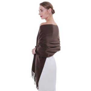 Brown Pashmina Shawl and Wrap for Women