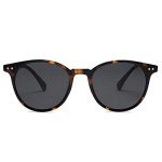Vintage Round Polarized Sunglasses for Women