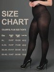 Plus Size Semi-Opaque Control Top Tights for Women