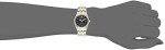Citizen Eco-Drive Classic Two-Tone Women's Watch