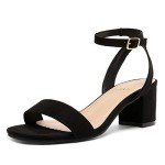 Dream Pairs Women's Chunky Heels Sandals - Black