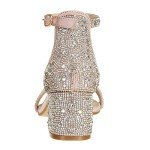 Champagne Open Toe Ankle Strap Chunky Heels