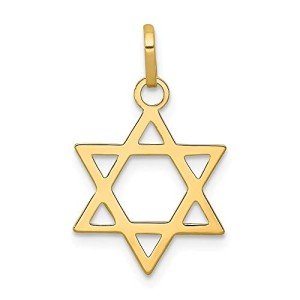 Elegant 14k Gold Star of David Pendant Necklace