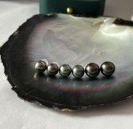 18K Gold Pearl Stud Earrings for Her