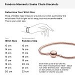 Pandora Rose Moments Snake Chain Charm Bracelet