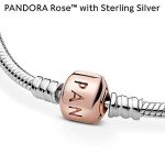 Pandora Snake Chain Charm Bracelet for Women