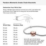 Pandora Heart Clasp Snake Chain Charm Bracelet