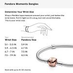 Pandora Snake Chain Charm Bracelet for Women