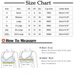 3 Pack Seamless Bandeau Bra Set for Women