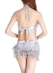 Belly Dance Bra and Sequin Hip Scarf Set