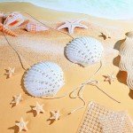 Mermaid Costume Set with Seashell Top & Accessories