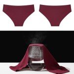 Levao 10 Pack Women's No-Show Cheeky Underwear