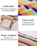 Cheeky Stripes Cotton Hipster Bikini Panties for Women