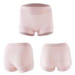Ayshie Women's 5-Pack Comfort Microfiber Boyshorts
