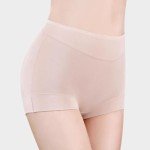 Ayshie Women's 5-Pack Comfort Microfiber Boyshorts