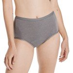 Hanes Women's Fresh & Dry Period Briefs 3-Pack