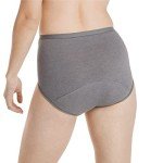 Hanes Women's Fresh & Dry Period Briefs 3-Pack