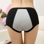 Leakproof Period Panties for Women (Pack of 3-5)