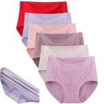 Plus Size Lace Leakproof Cotton Panties Set