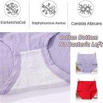 Plus Size Lace Leakproof Cotton Panties Set